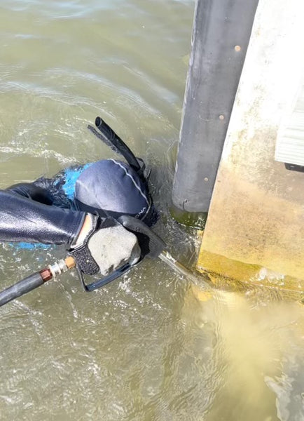 The Importance of Cleaning Dock Pilings