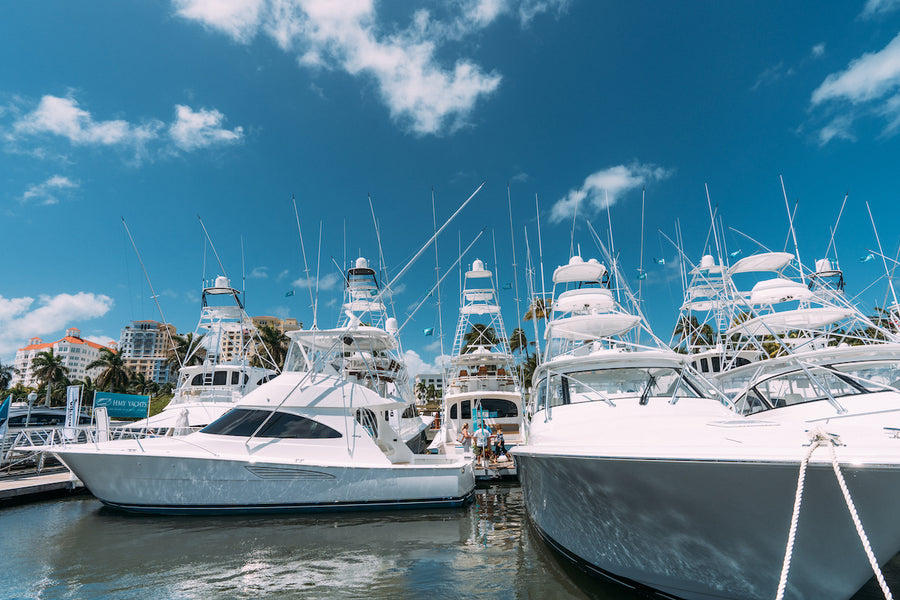 Dockside Appeal: Enhancing Marina Beauty with Clean Boats