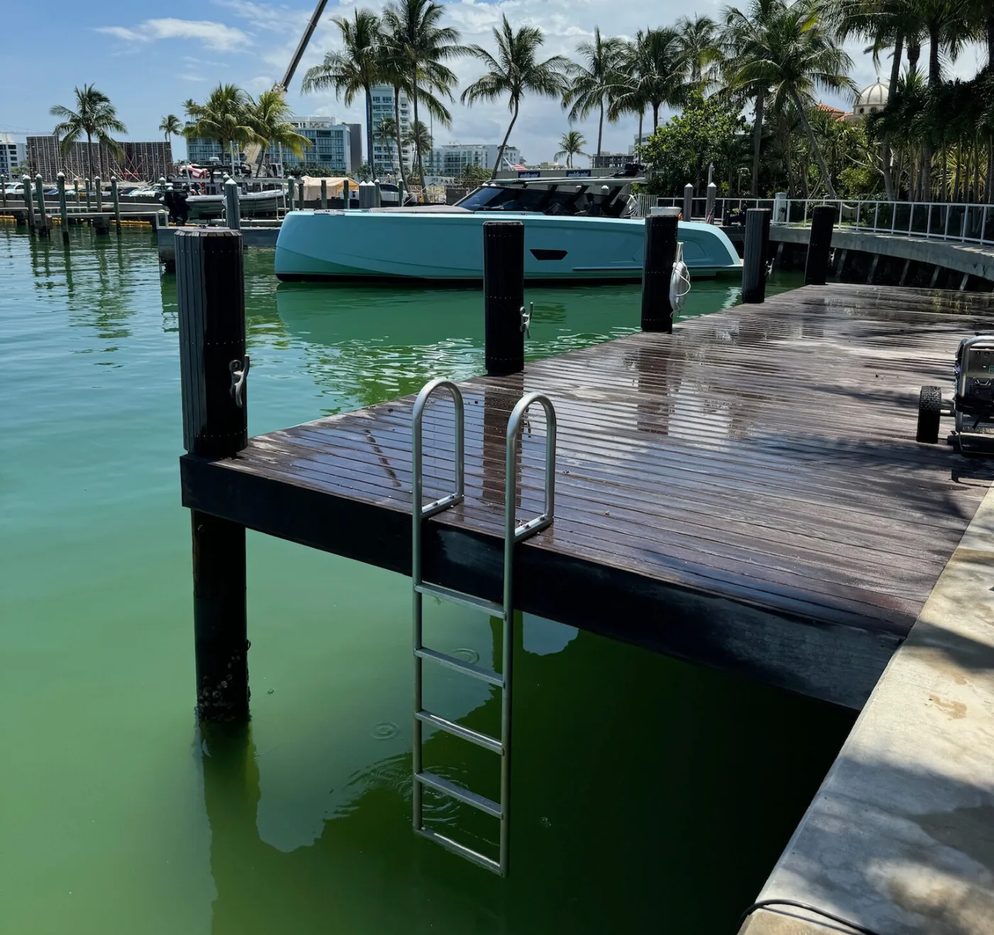 Dock Cleaning