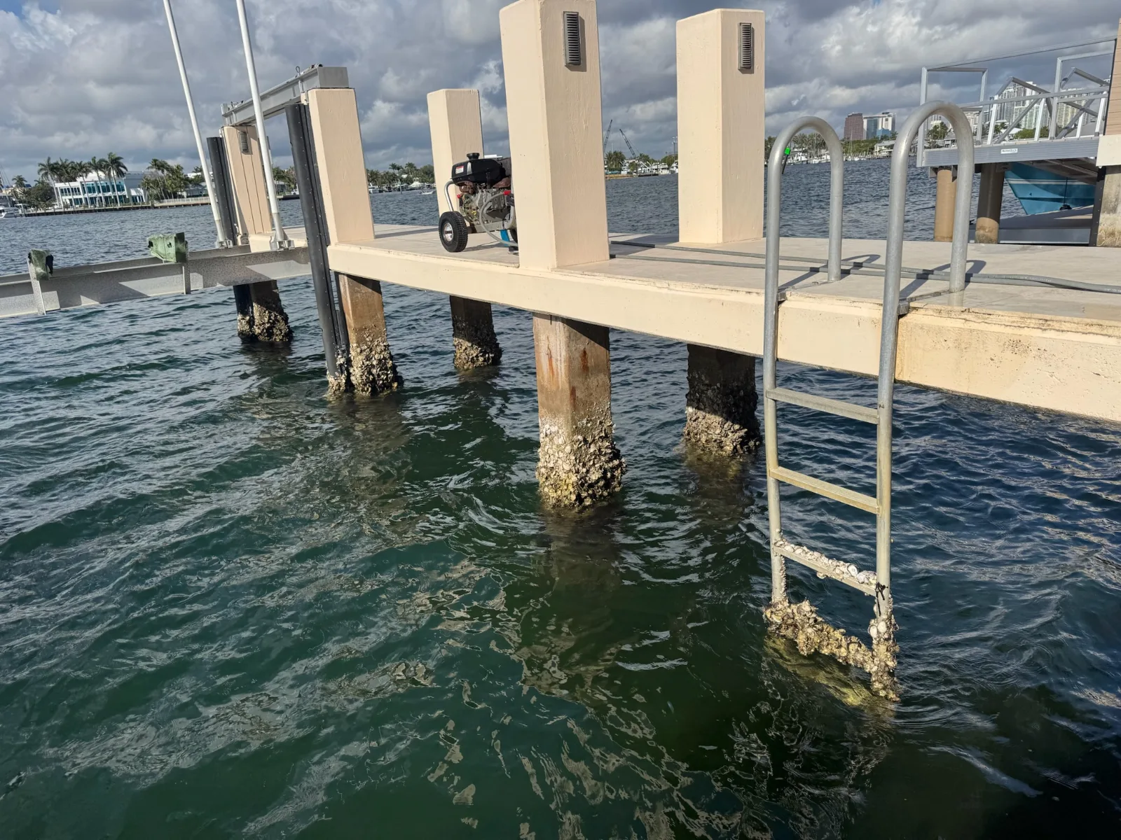 Piling Cleaning