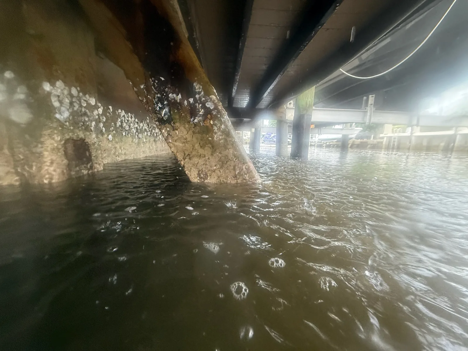Seawall Cleaning