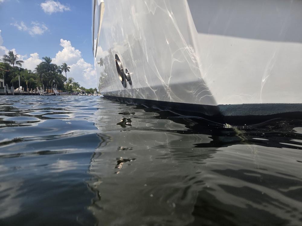 Clean white boat hull and waterline seen from water level, with palm trees along the shoreline
